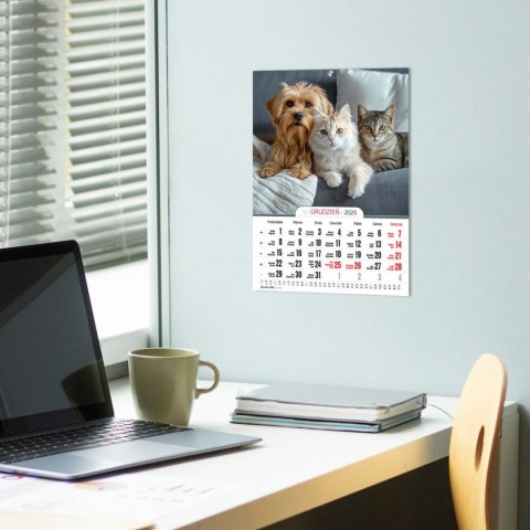 Kalendarz ścienny A4 MILUSIŃSCY A4 Press (5904830713473) Press