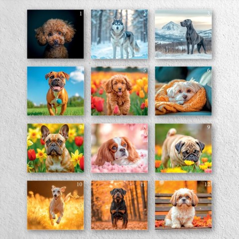 Kalendarz ścienny A4 PSY A4 Press (5904830713374) Press