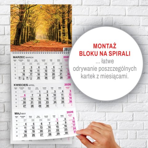 Kalendarz ścienny LAS A4 Press Press