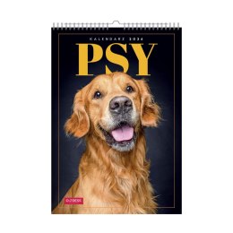 Kalendarz ścienny WIELOPLANSZOWY 16K A3 Press Press