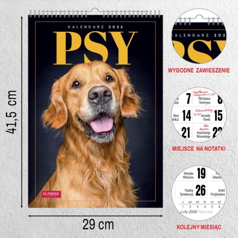 Kalendarz ścienny WIELOPLANSZOWY 16K A3 Press Press