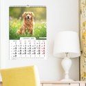 Kalendarz ścienny WIELOPLANSZOWY 16K A3 Press Press