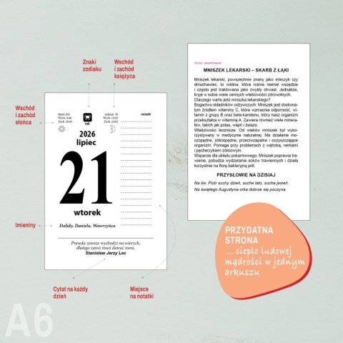 Kalendarz ścienny ZDZIERAK KUCHNIA POLSKA A6 Press Press