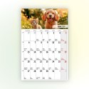 Kalendarz ścienny na lodówkę z magnesem 137mm x 210mm Press (MILUSIŃSCY) Press