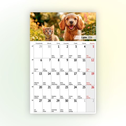Kalendarz ścienny na lodówkę z magnesem 137mm x 210mm Press (MILUSIŃSCY) Press