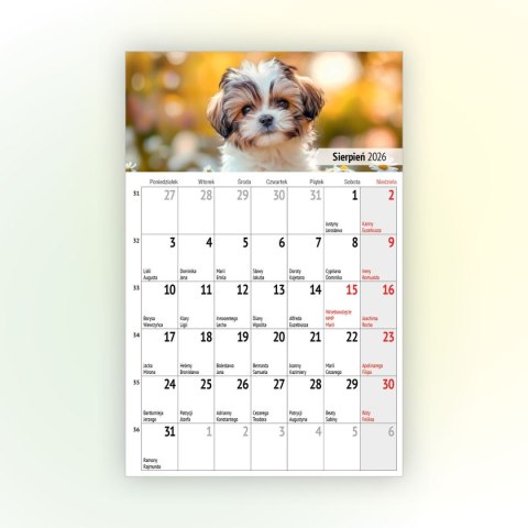 Kalendarz ścienny na lodówkę z magnesem 137mm x 210mm Press (MILUSIŃSCY) Press