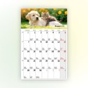 Kalendarz ścienny na lodówkę z magnesem 137mm x 210mm Press (MILUSIŃSCY) Press