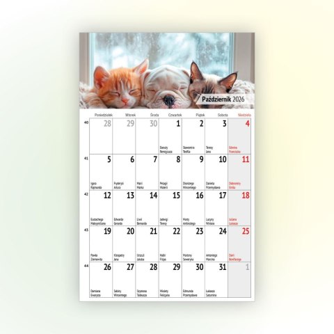 Kalendarz ścienny na lodówkę z magnesem 137mm x 210mm Press (MILUSIŃSCY) Press