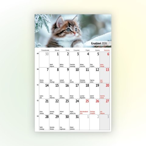 Kalendarz ścienny na lodówkę z magnesem 137mm x 210mm Press (MILUSIŃSCY) Press