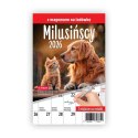 Kalendarz ścienny na lodówkę z magnesem 137mm x 210mm Press (MILUSIŃSCY) Press