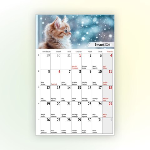 Kalendarz ścienny na lodówkę z magnesem 137mm x 210mm Press (MILUSIŃSCY) Press