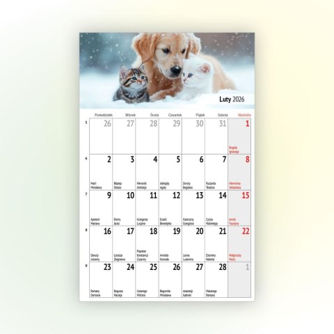 Kalendarz ścienny na lodówkę z magnesem 137mm x 210mm Press (MILUSIŃSCY) Press