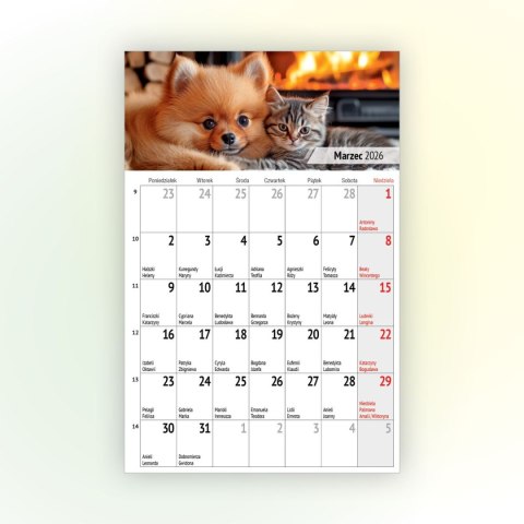 Kalendarz ścienny na lodówkę z magnesem 137mm x 210mm Press (MILUSIŃSCY) Press