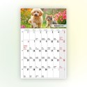 Kalendarz ścienny na lodówkę z magnesem 137mm x 210mm Press (MILUSIŃSCY) Press