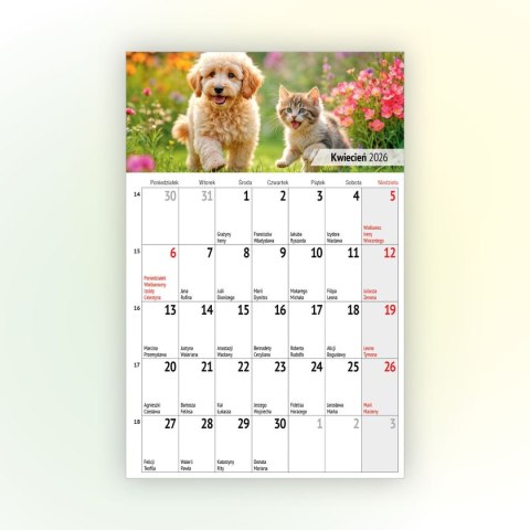 Kalendarz ścienny na lodówkę z magnesem 137mm x 210mm Press (MILUSIŃSCY) Press