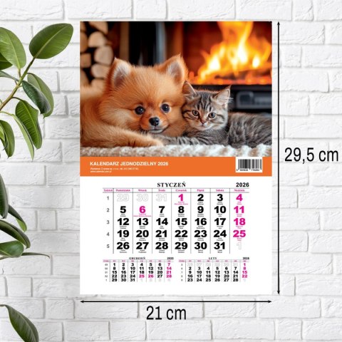 Kalendarz ścienny na lodówkę z magnesem 137mm x 210mm Press (MILUSIŃSCY) Press