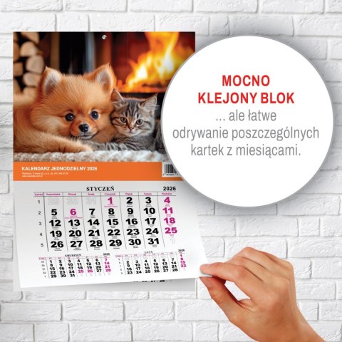 Kalendarz ścienny na lodówkę z magnesem 137mm x 210mm Press (MILUSIŃSCY) Press