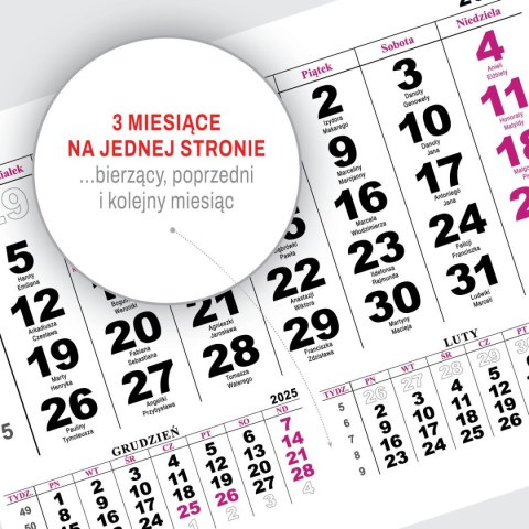 Kalendarz ścienny na lodówkę z magnesem 137mm x 210mm Press (MILUSIŃSCY) Press