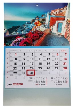 Kalendarz ścienny terminarz ścienny 310mm x 482mm Michalczyk i Prokop (T-107S-1) Michalczyk i Prokop
