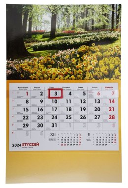 Kalendarz ścienny terminarz ścienny 310mm x 482mm Michalczyk i Prokop (T-107S-2) Michalczyk i Prokop