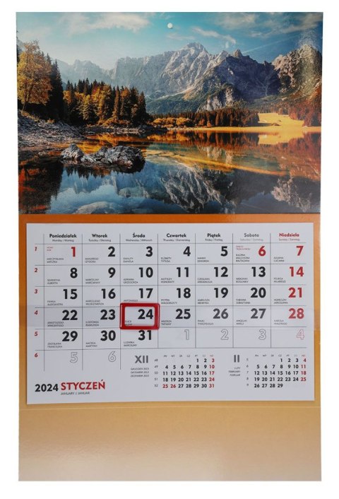 Kalendarz ścienny terminarz ścienny 310mm x 482mm Michalczyk i Prokop (T-107S-3) Michalczyk i Prokop