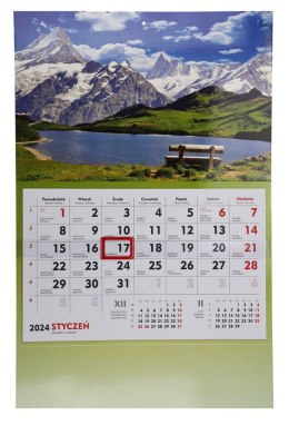 Kalendarz ścienny terminarz ścienny 310mm x 482mm Michalczyk i Prokop (T-107S-4) Michalczyk i Prokop