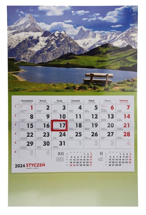 Kalendarz ścienny terminarz ścienny 310mm x 482mm Michalczyk i Prokop (T-107S-4) Michalczyk i Prokop