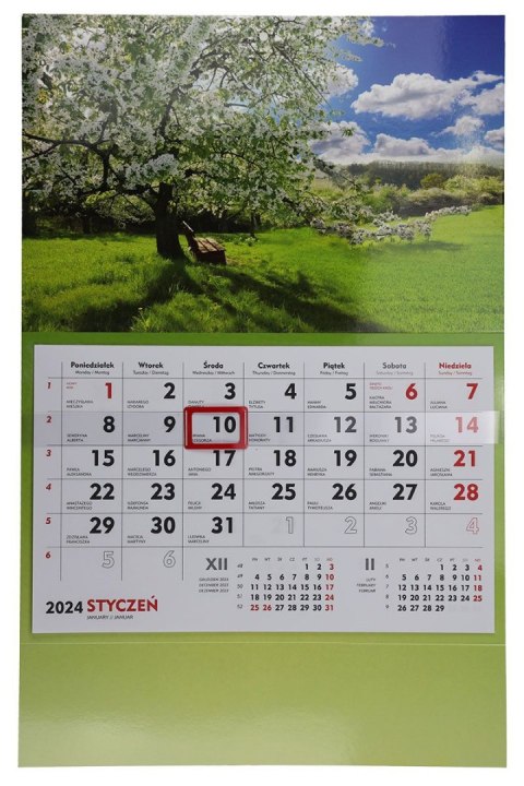 Kalendarz ścienny terminarz ścienny 310mm x 482mm Michalczyk i Prokop (T-107S-6) Michalczyk i Prokop