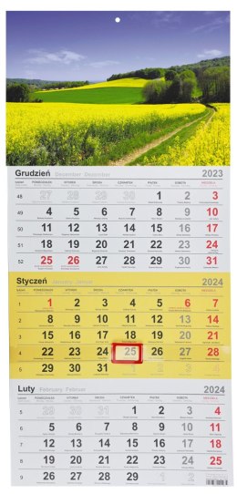 Kalendarz ścienny trójdzielny 288mm x 622mm Michalczyk i Prokop (T-106T-01) Michalczyk i Prokop