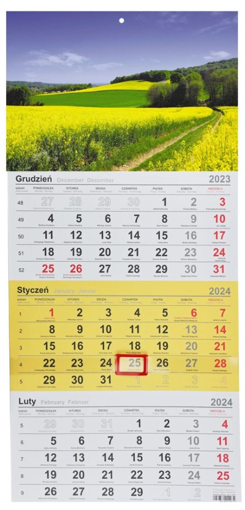 Kalendarz ścienny trójdzielny 288mm x 622mm Michalczyk i Prokop (T-106T-01) Michalczyk i Prokop