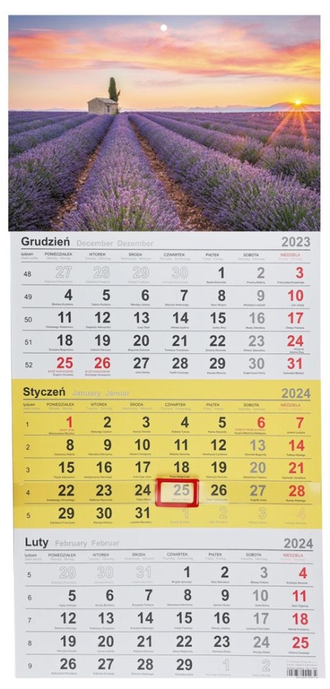Kalendarz ścienny trójdzielny 288mm x 622mm Michalczyk i Prokop (T-106T-06) Michalczyk i Prokop