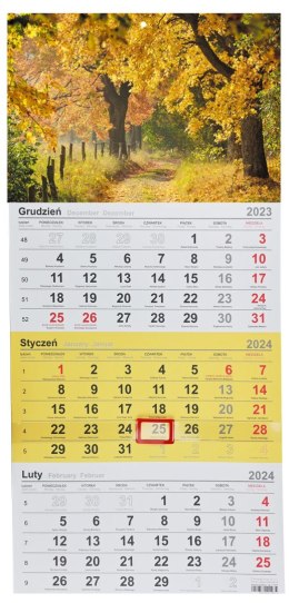 Kalendarz ścienny trójdzielny 288mm x 622mm Michalczyk i Prokop (T-106T-11) Michalczyk i Prokop