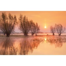 Kalendarz ścienny trójdzielny 855mm x 315mm Michalczyk i Prokop (T-105T-06) Michalczyk i Prokop