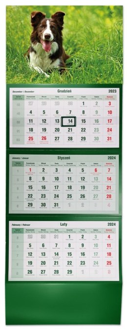 Kalendarz ścienny trójdzielny 855mm x 315mm Michalczyk i Prokop (T-105T-09) Michalczyk i Prokop