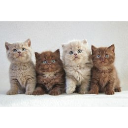 Kalendarz ścienny trójdzielny 855mm x 315mm Michalczyk i Prokop (T-105T-10) Michalczyk i Prokop