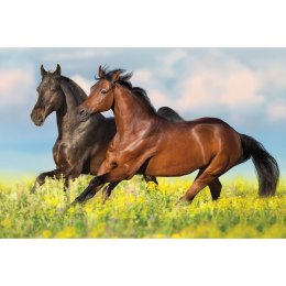 Kalendarz ścienny trójdzielny 855mm x 315mm Michalczyk i Prokop (T-105T-12) Michalczyk i Prokop