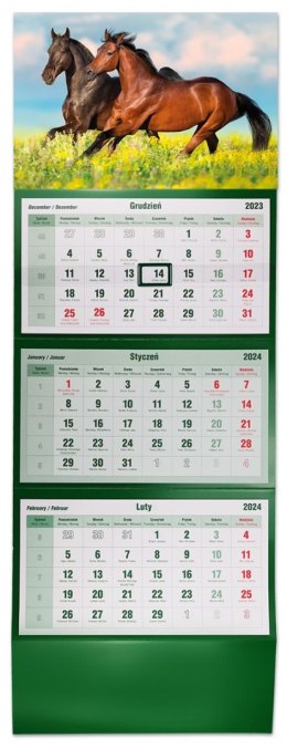 Kalendarz ścienny trójdzielny 855mm x 315mm Michalczyk i Prokop (T-105T-12) Michalczyk i Prokop