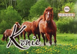 Kalendarz ścienny wieloplanszowy 200mm x 280mm Michalczyk i Prokop (TW-10-6) Michalczyk i Prokop