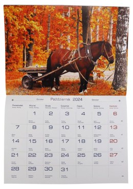 Kalendarz ścienny wieloplanszowy 200mm x 280mm Michalczyk i Prokop (TW-10-6) Michalczyk i Prokop