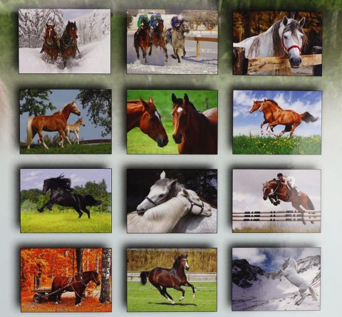 Kalendarz ścienny wieloplanszowy 200mm x 280mm Michalczyk i Prokop (TW-10-6) Michalczyk i Prokop