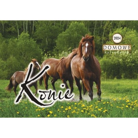 Kalendarz ścienny wieloplanszowy 200mm x 280mm Michalczyk i Prokop (TW-10-6) Michalczyk i Prokop