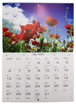 Kalendarz ścienny wieloplanszowy 200mm x 285mm Michalczyk i Prokop (TW-10-5) Michalczyk i Prokop