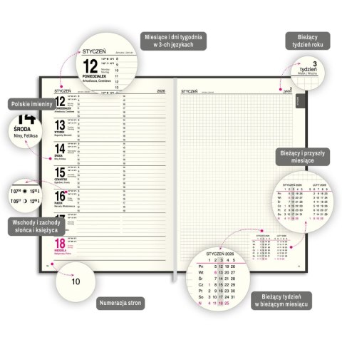 Kalendarz książkowy (terminarz) A4 Press (DZIENNY) Press