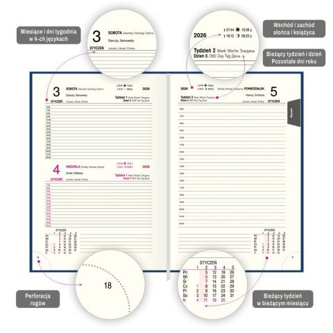 Kalendarz książkowy (terminarz) BUSINESS PREMIUM A5 Press (DZIENNY) Press