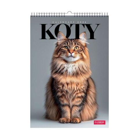 Kalendarz ścienny 16 stron wieloplanszowy A3 Press (KOTY) Press