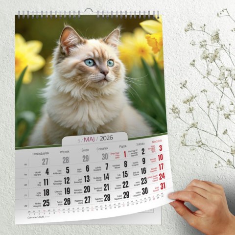 Kalendarz ścienny 16 stron wieloplanszowy A3 Press (KOTY) Press