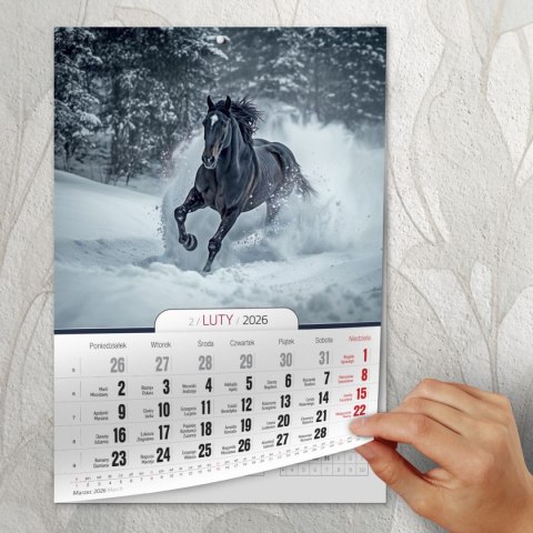 Kalendarz ścienny A4 KONIE A4 Press (5904830713398) Press