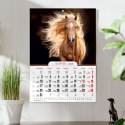 Kalendarz ścienny A4 KONIE A4 Press (5904830713398) Press