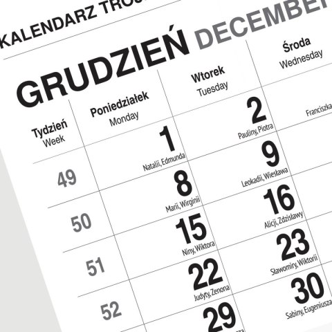 Kalendarz ścienny GÓRY 310mm x 790mm Press Press