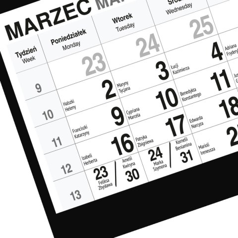 Kalendarz ścienny GÓRY A5 250mm x 450mm Press Press